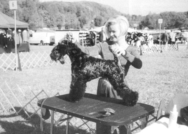 AVALANCHE-EIRE-KERRY DARLY, owner I.Lee (USA)