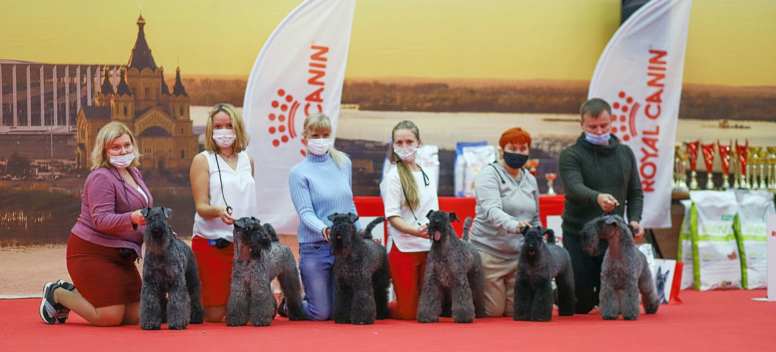 Best kennel - 