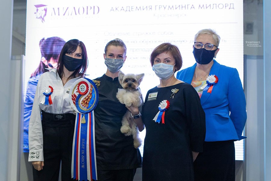 BIS пэт-груминга Светлана Поливанова  (Кемерово)